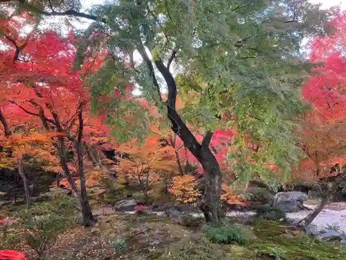宝筐院(京都府)