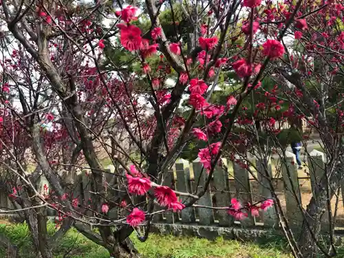 曽根天満宮(兵庫県)