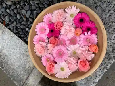 彌都加伎神社の手水舎