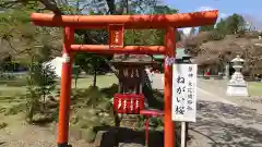 茨城縣護國神社の鳥居