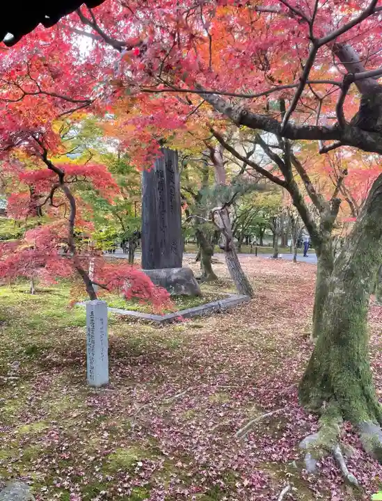 東福禅寺(東福寺)の自然