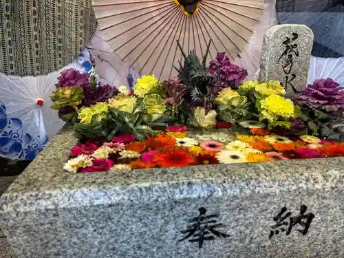 札幌諏訪神社の手水舎