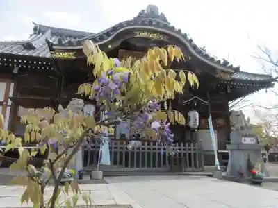 八剱八幡神社(千葉県)