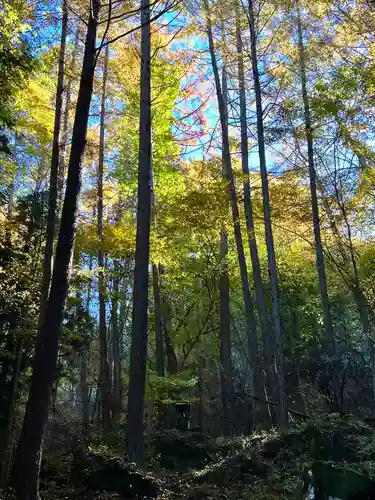 山の神の本殿