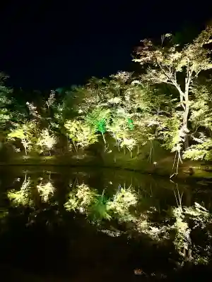 高台寺（高台寿聖禅寺・高臺寺）(京都府)
