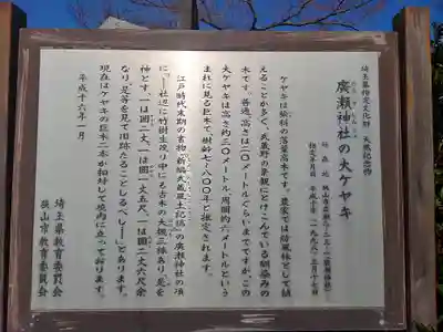 廣瀬神社(埼玉県)