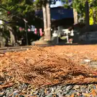高司神社〜むすびの神の鎮まる社〜のその他建物