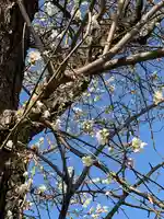 光明寺(栃木県)