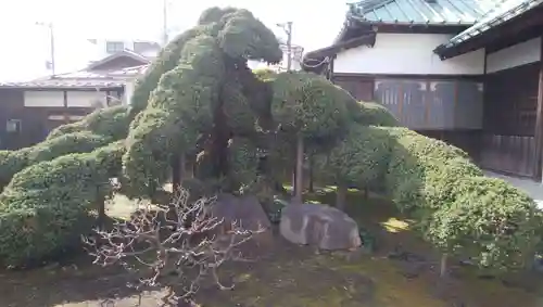 川合寺の庭園