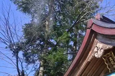 高龍神社(新潟県)