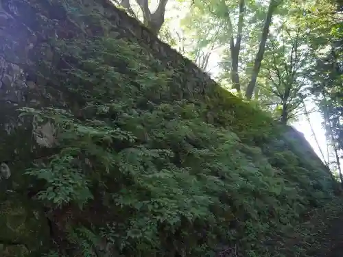 南法華寺（壷阪寺）の自然