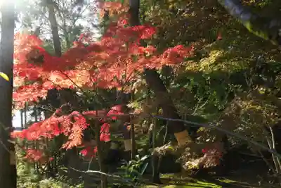 唐招提寺(奈良県)