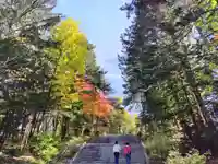 上川神社の景色