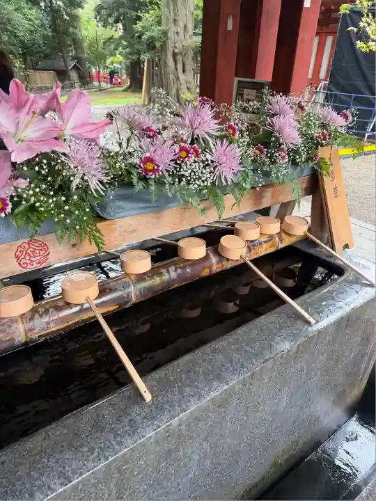 武蔵一宮氷川神社(埼玉県)