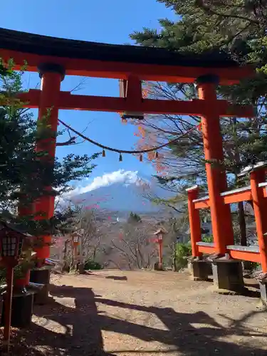 新倉富士浅間神社の鳥居