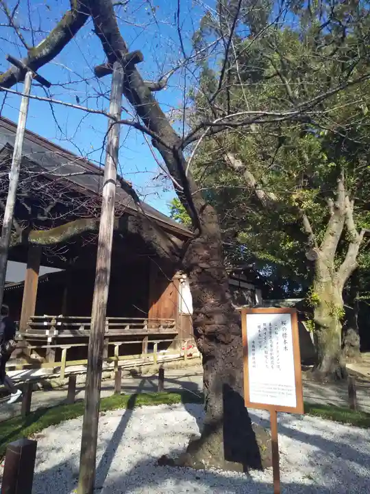 靖國神社の庭園
