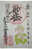 妙蓮寺の御朱印