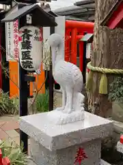 鴻神社の狛犬