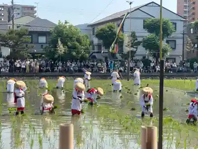 住吉大社(大阪府)