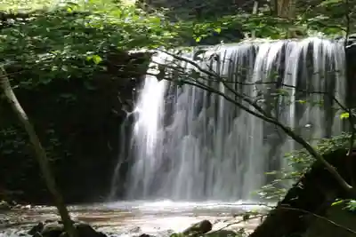剣桂神社の自然