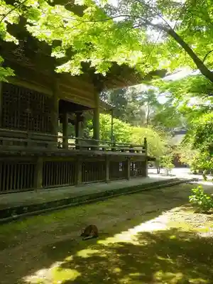 妙本寺のその他建物