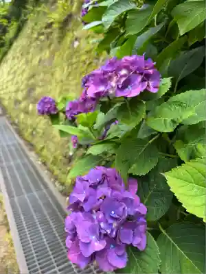 円覚寺(神奈川県)