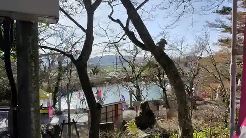 出雲大神宮(京都府)
