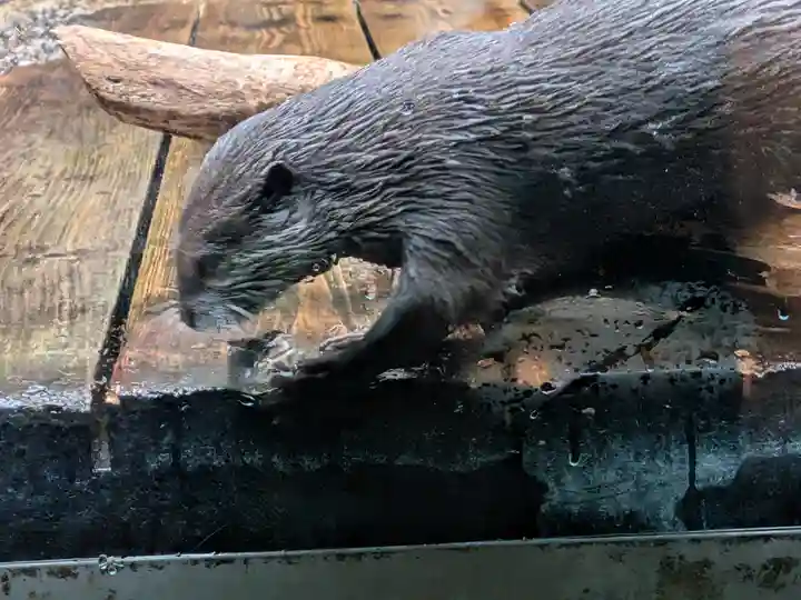 金蛇水神社(宮城県)