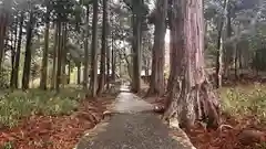 大森神社(兵庫県)