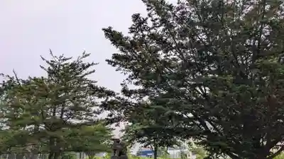 瓜幕神社の自然