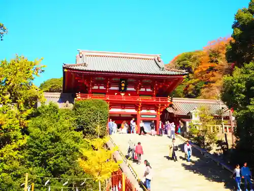 鶴岡八幡宮の山門・神門