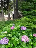 伏木香取神社の自然