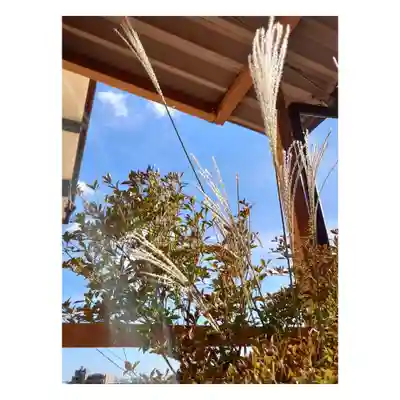 岐阜稲荷山本社(岐阜県)