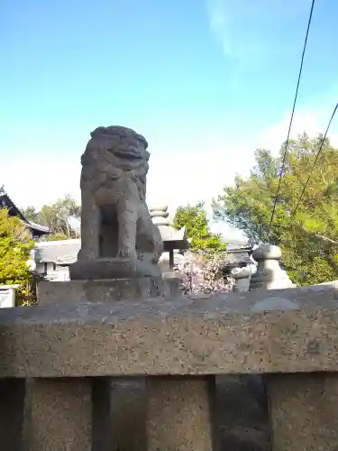 足高神社の狛犬