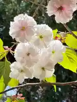 稲荷神社(茨城県)