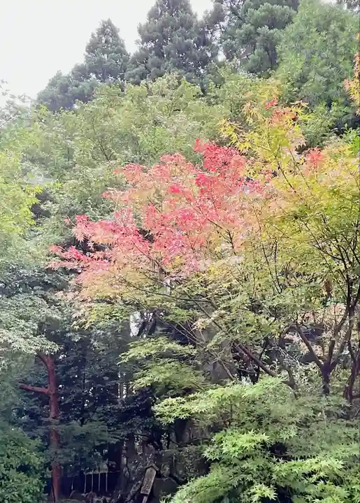 市房山神宮里宮神社(熊本県)