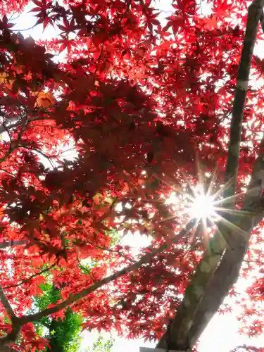 大洗磯前神社(茨城県)