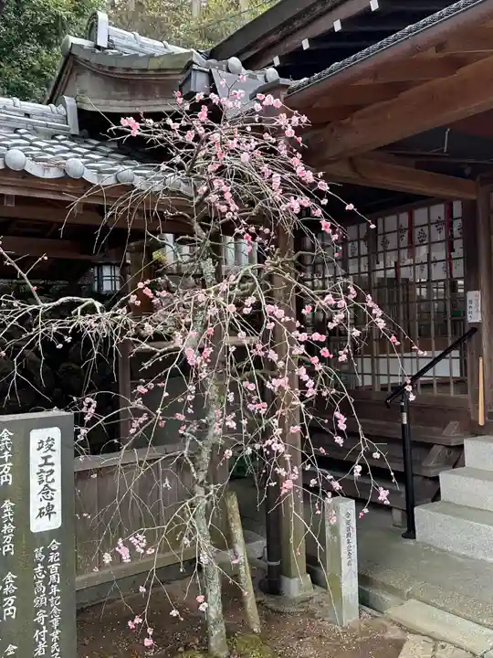 都美恵神社の自然