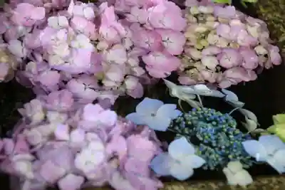 神炊館神社 ⁂奥州須賀川総鎮守⁂の手水舎