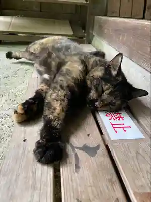 小松寺(千葉県)