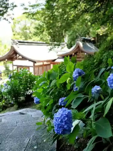 吉備津神社の本殿・本堂