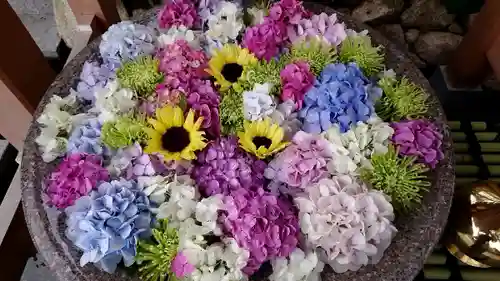 白山神社の手水舎