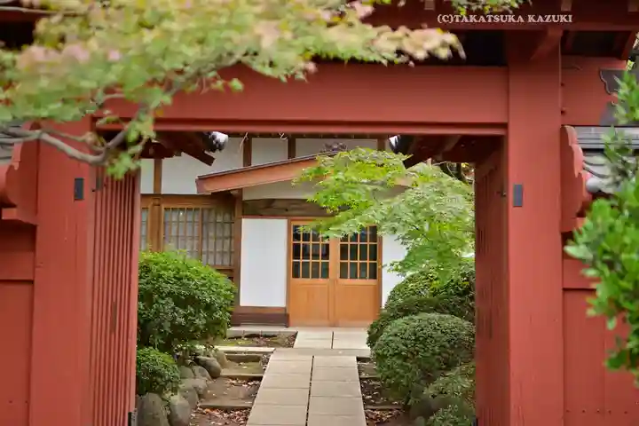 豪徳寺(東京都)