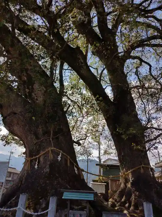 尾鷲神社(三重県)