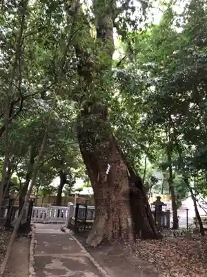 生田神社のその他建物