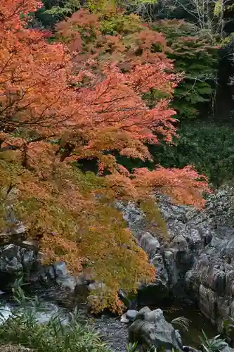 大瀧神社(滋賀県)
