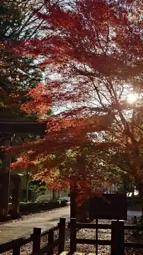 鳥取東照宮（旧樗谿神社）(鳥取県)