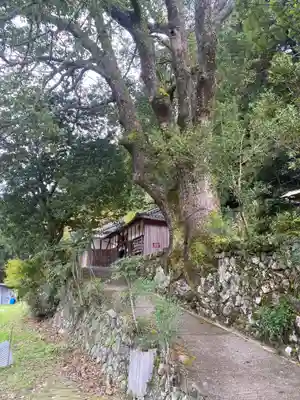 流谷八幡神社(大阪府)