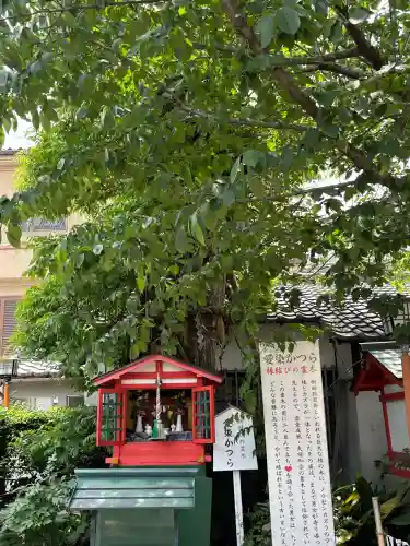 愛染堂勝鬘院の自然