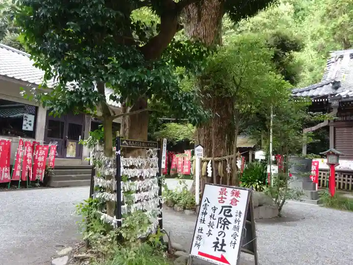八雲神社(鎌倉・大町)の自然